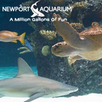 Newport Aquarium